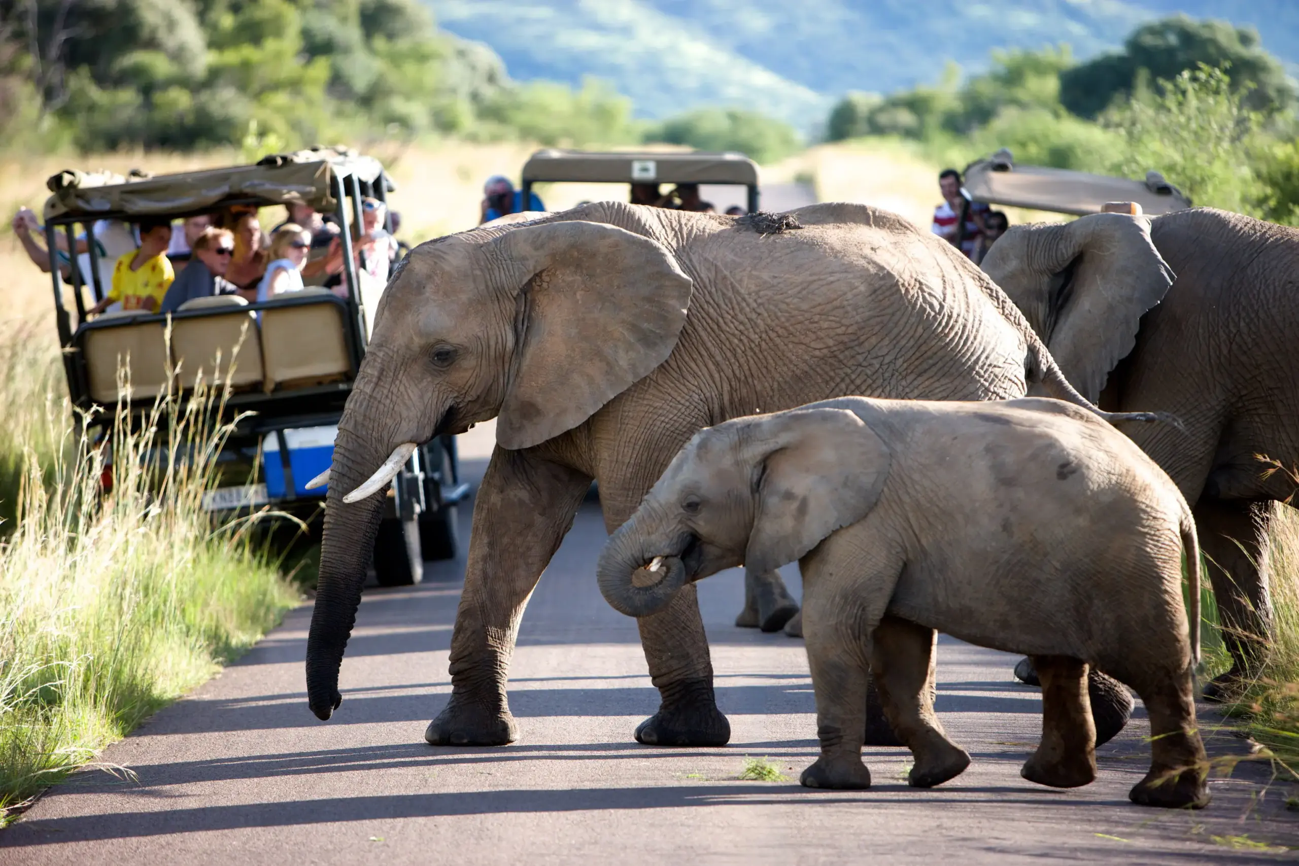 Requisitos de visado y documentación para visitar el Kruger National Park desde Mozambique