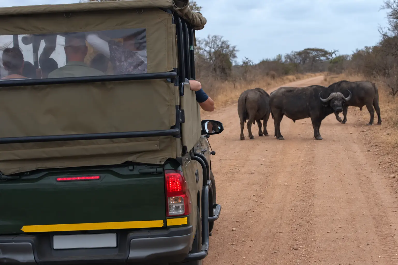 Safari en vehículo 4x4 abierto en Kruger National Park